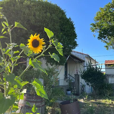Casa Do Sete Apartment
