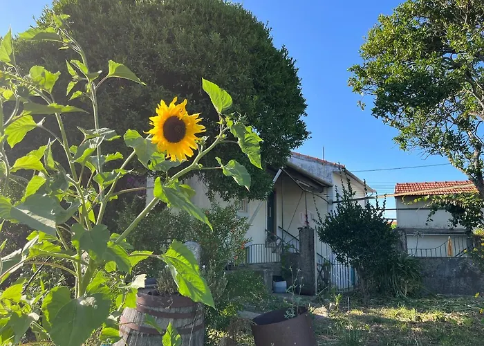 Casa Do Sete 아파트